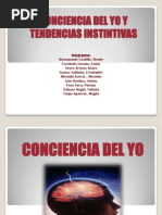 Conciencia Del Yo y Tendencias Instintivas - Expo