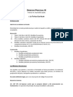 Apuntes de Derecho Procesal III