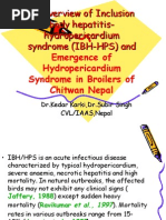 An Overview of Inclusion Body Hepatitis-Hydropericardium Syndrome (IBH-HPS)