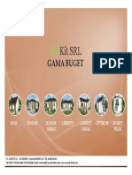 Catalog Case PPT Buget