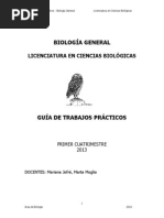 PDF Documento