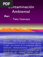 Contaminacinambiental 130415195731 Phpapp01