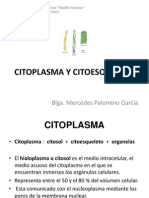 Citoplasma y Citoesqueleto