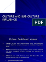 Culture and Sub-Culture Influence