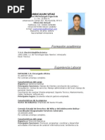 Curriculum Vitae Luis