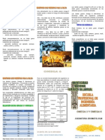 Relación Entre Omega 3 y Omega 6