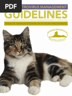 Aafp Feline Retrovirus Management Guidelines