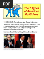 7 Types of American Politicians