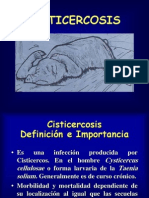 Cisticercosis