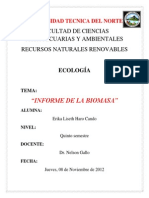 Informe Biomasa