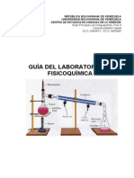 Guia Practica Fisicoquimica