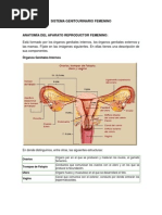 Higiene Genitourinaria