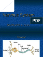 Neuro