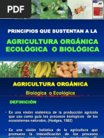 Principios Agricultura Organica