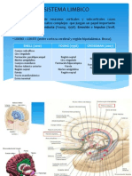 El Sistema Límbico