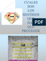 Proteccion de Los Sentidos