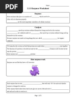 Enzymes Worksheet