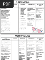 Grupos Farmacologicos Vaginosis