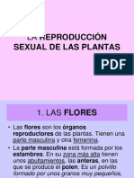 La Reproducción Sexual de Las Plantas