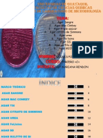 Microbiología AGAR