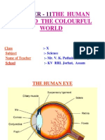 Light-Human Eye and The Colourful World