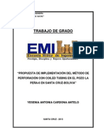 Perfil de Proyecto de Grado2