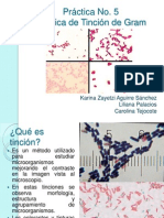 Practica No. 5 Corregida Tincion de Gram