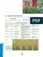 Crop Improvement PDF