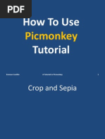 How To Use Picmonkey PDF