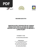 Identificacion e Integracion de Cadenas Productivas para El Edo. de Sonora