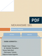 Presentasi MITOSIS Dan MEIOSIS