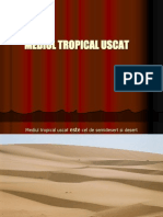 Mediul Tropical Uscat de Desert