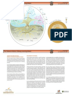 CCL Learning Model FN