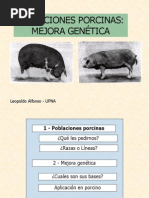 Mejoramiento Genetico