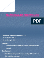 Mandibular Premolars