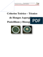 Criterios Teoricos Tecnicos Aspergillus y Penicillium