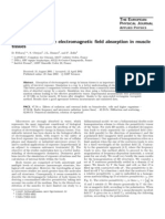 Modeling Microwave Electromagnetic Field Absorption in Muscle Tissues