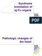 Syndrome Differentiation of Zang-Fu Organs