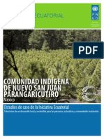 Estudios de Caso PNUD: COMUNIDAD INDÍGENA DE NUEVO SAN JUAN PARANGARICUTIRO, Mexico