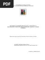 Analisis Tentativa y Frustracion Hurto - Falta