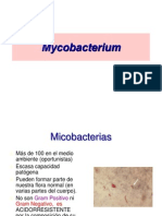 Mycobacterium Tuberculosis