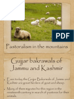 Pastoralism in Mountains