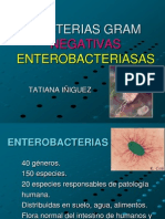 BACTERIAS GRAM NEGATIVAS Enterobacterias Exposicion