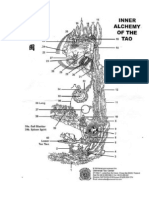 A Alquimia Interior Taoista - REVISADO