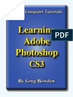 Learning Adobe Photoshop CS3