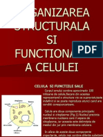 Curs II Celula