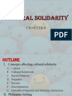 Cultural Solidarity - Peace Report