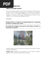 A Que Llamamos Incendio Forestal