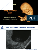 Early Pregnancy Anomaly Scan