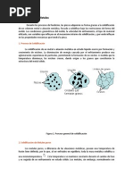 Solidificación de Metales